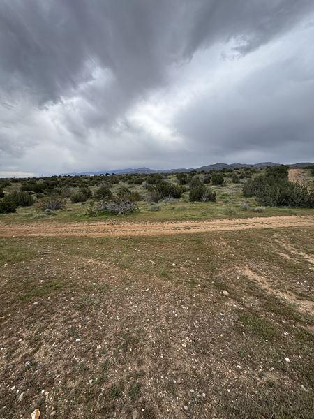 VacantLand space for Sale at Pearblossom Hwy in Palmdale