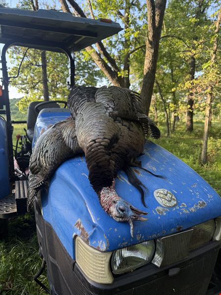 Warsaw Deer & Turkey Farm