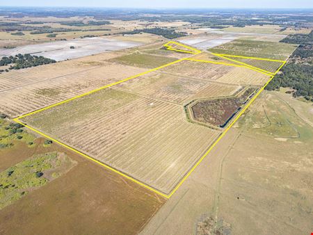 VacantLand space for Sale at County Line Grove in Zolfo Springs