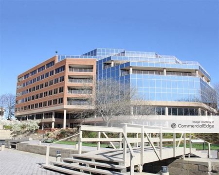 Office space for Rent at 44 Canal Center Plaza in Alexandria