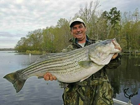 VacantLand space for Sale at Opportunity Zone Isolated Country Site for Golfing & Fishing Buddies and Steaks on the Grill in St. Matthews