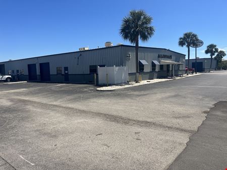 Palmetto Grove