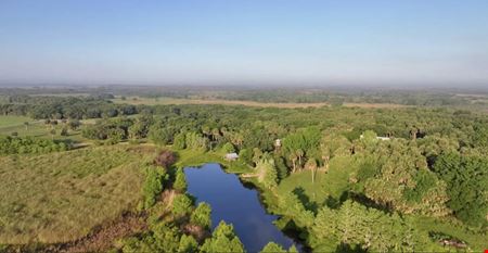 Palm Hammock Preserve