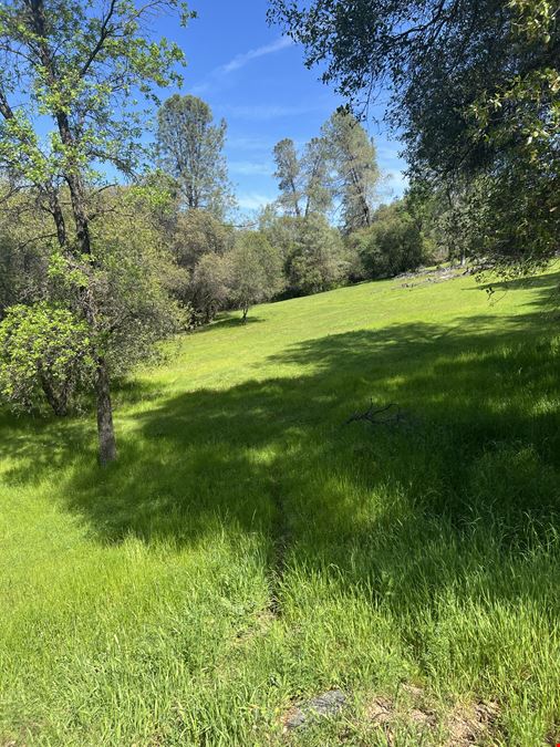 Diamond Springs Land