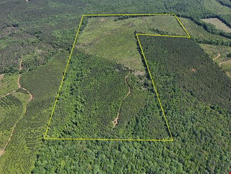 Longleaf Ridge