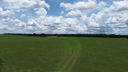Rolling Oaks Ridge