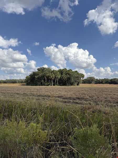 VacantLand space for Sale at Palm Hammock Preserve in Okeechobee