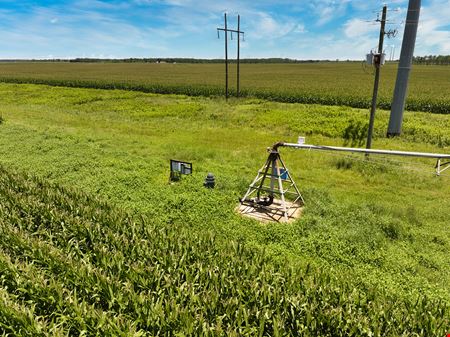 Dougherty 19