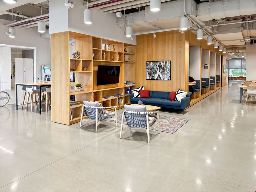 Spaces - The Quad