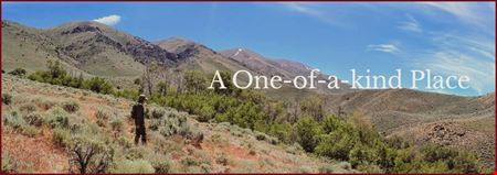 VacantLand space for Sale at Siard/Hagar Ranches in Winnemucca - South