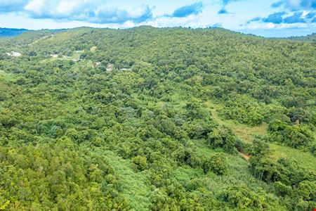 Vacant Land - 78 Cuerdas with Ocean Views @ Ceiba - For Sale