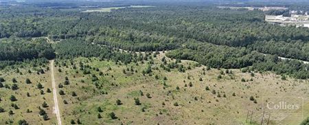 Other space for Sale at 20-95 Crossroads | Land for Industrial Development adjacent to I-95 and I-20 | Florence, SC in Florence