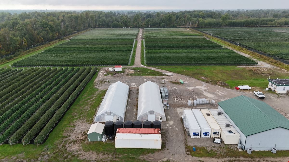 Tawas City - Former Operating/Turnkey Cannabis Outdoor Cultivation Operation