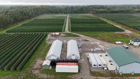 Other space for Sale at Tawas City - Former Operating/Turnkey Cannabis Outdoor Cultivation Operation in Tawas City