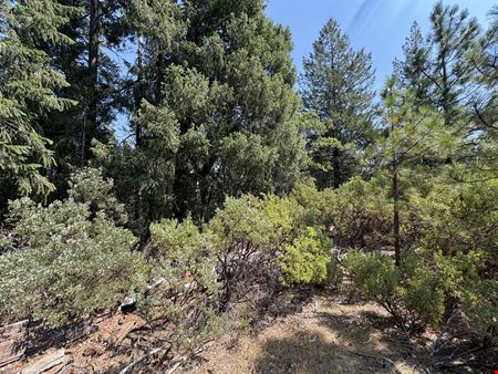 1250 Whispering Pines Ln