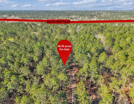 Banks Mill Rd SE (36.76 acres)