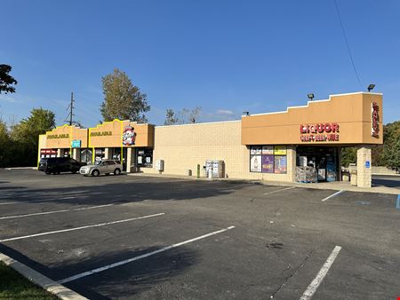 Retail space for Rent at Maple Plaza in Brownstown Township