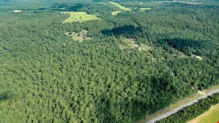 111+/- Acres of Recreational Tract Geared for Hunting on the Aiken and Barnwell County Line