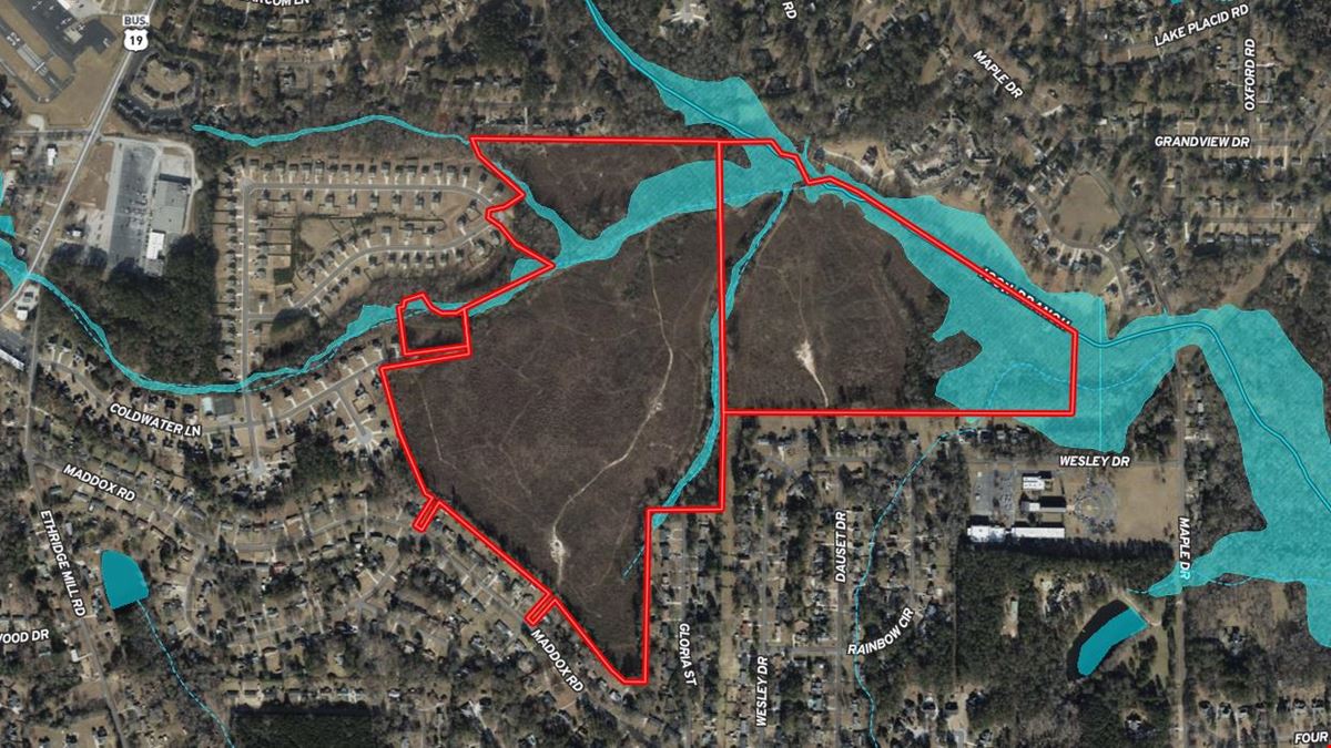 Iris Pointe - 164 Acres (251 Lots)