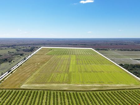 ±742.87 Acres | Osceola County, FL – Scalable Farm with Ranch History, Wildlife & No Conservation Easement