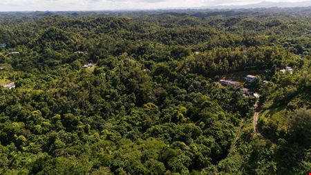 Arecibo Vacant Land @ Arrozal Ward - For Sale