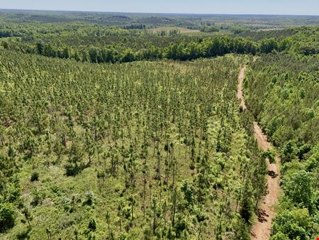 Longleaf Ridge