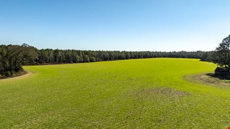 Quarterman Farm