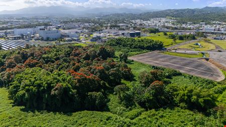 Carolina Prime Commercial Land - North of PR-3 - For Sale