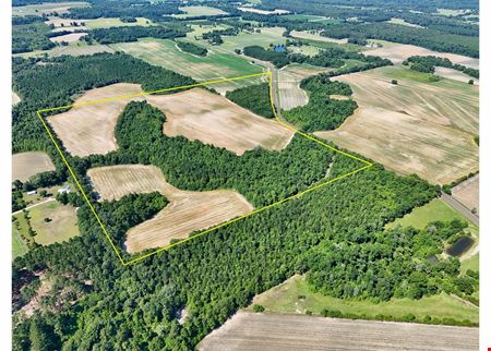 VacantLand space for Sale at Dupree Tract in Ashford