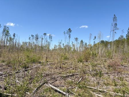 VacantLand space for Sale at Georgiana Recreation Tract in Georgiana