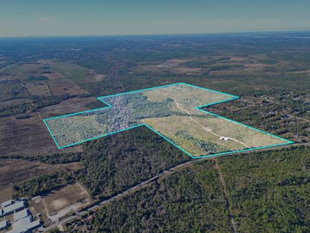 VacantLand space for Sale at 202 Acres in Northwest Florida –Timber, Hunting & Coastal Access in Youngstown