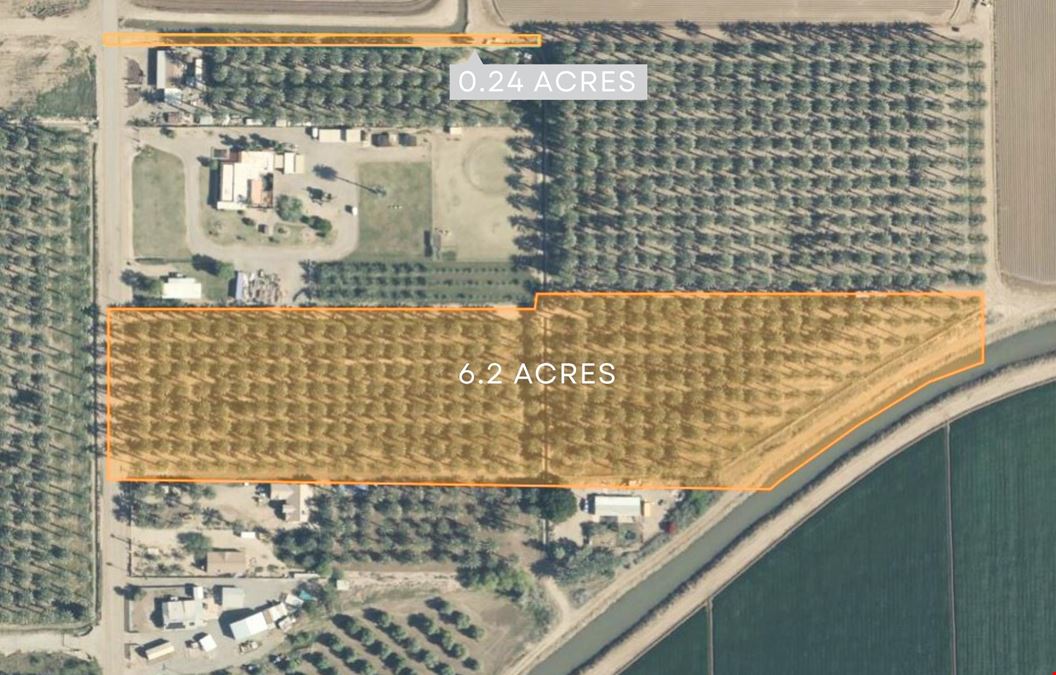 ±36.41 Acres of Medjool Dates
