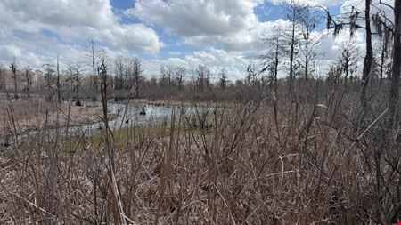 VacantLand space for Sale at 65 Acres Near Lake Seminole – Hunting and Recreation Land in Grand Ridge