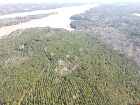 Rocky Creek Road - 341.52 Acres