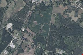 87 Acres in Holly Hill For Sale