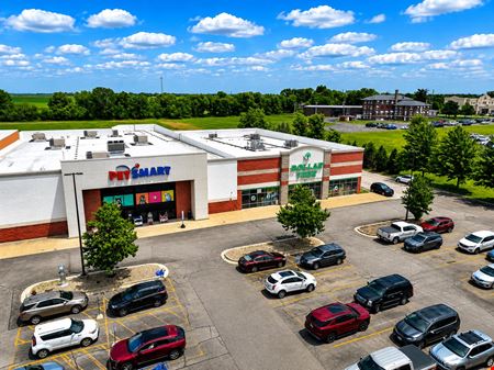 PetSmart & Dollar Tree