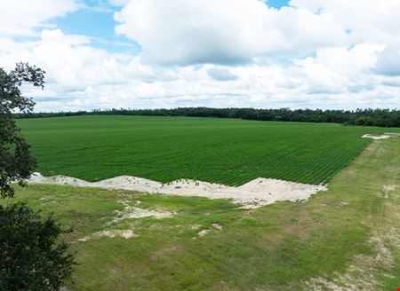 Rollings Farm - Madison County