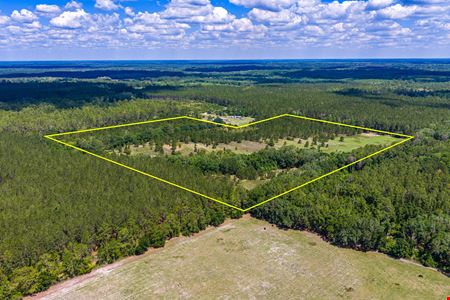 VacantLand space for Sale at East Alachua County 35 Acre Recreation Tract in Hawthorne