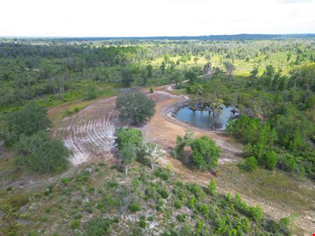 Ranch, Hunt & Invest: 236± Acres of Productive Timberland in SE Washington County