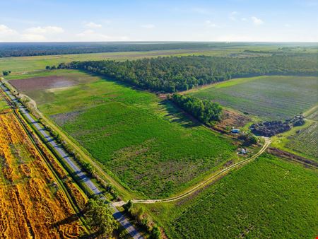VacantLand space for Rent at Balm Wimauma Organic Farm in Wimauma
