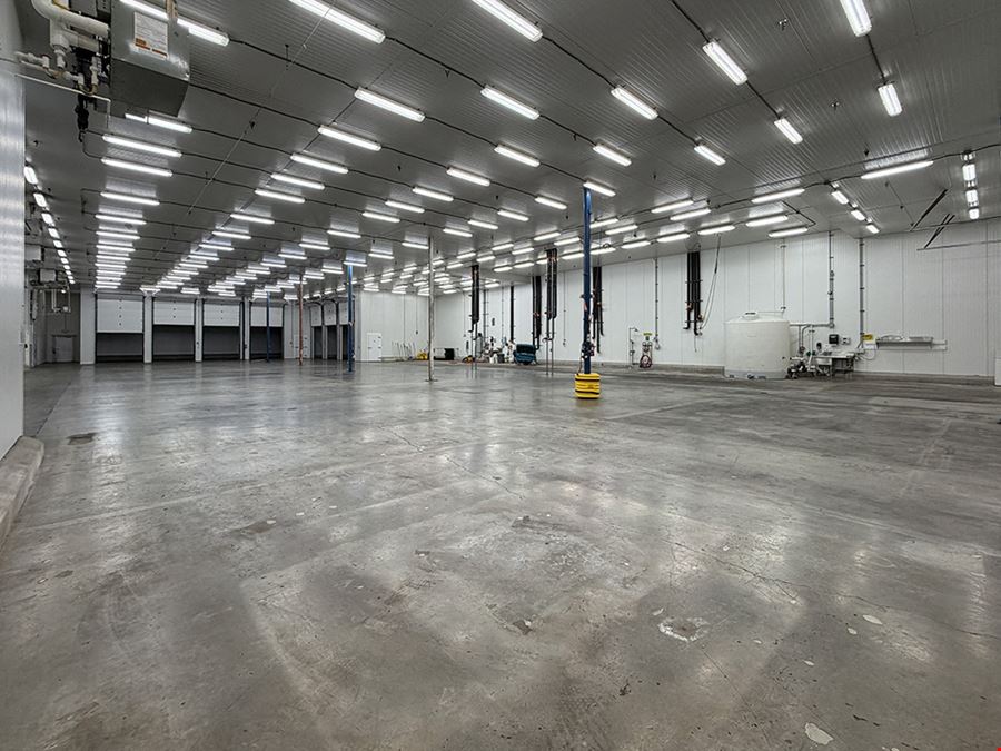 Temperature Controlled/General Warehouse