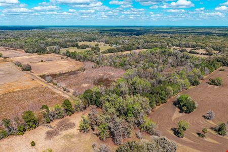 Putnam County Farmland