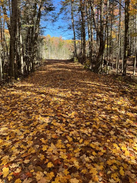 Route 3 North, Carroll, NH (lots 43 & 46)