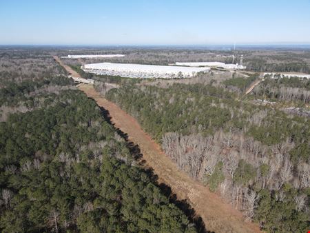 Posey Road - 70.4 Acres