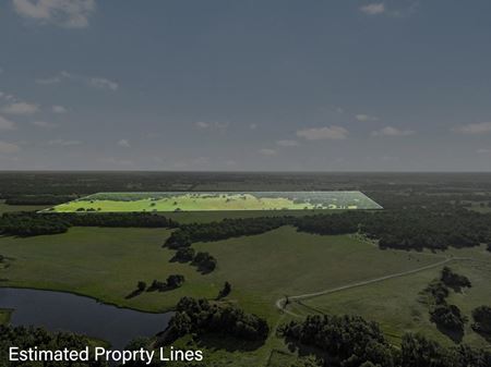 Other space for Sale at TBD Little Mississippi Cemetery Road in Franklin