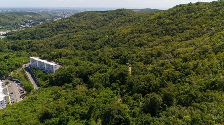 18.36 Acre Agricultural Land @ Ponce, Canas Ward - For Sale