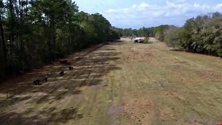 29 Acres in Horse Country