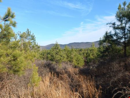 VacantLand space for Sale at Garren 70 in Attalla