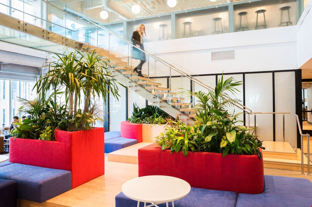 WeWork - 33 Arch St
