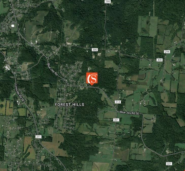 84.883 Acres Blue Jay Road